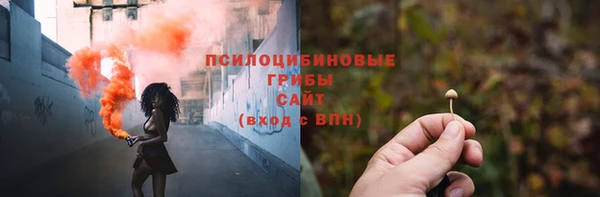 PSILOCYBIN Верея