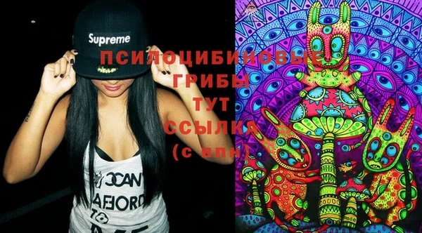 PSILOCYBIN Верея