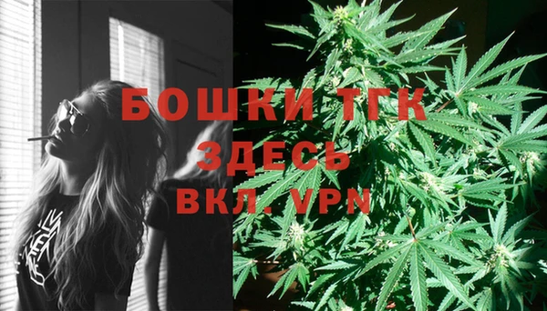 МДПВ Верхний Тагил