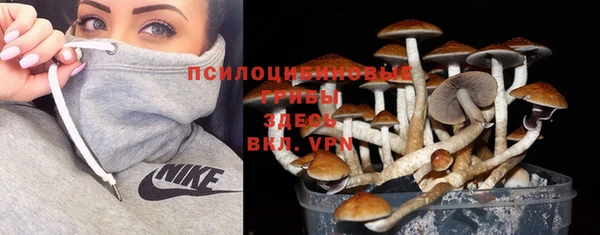 PSILOCYBIN Верея