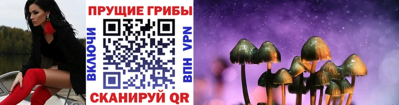 Галлюциногенные грибы ЛСД купить закладку Гаврилов Посад